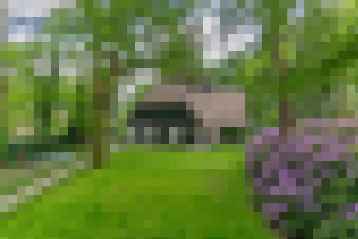 Raboes 14 Laren thumbnail 51
