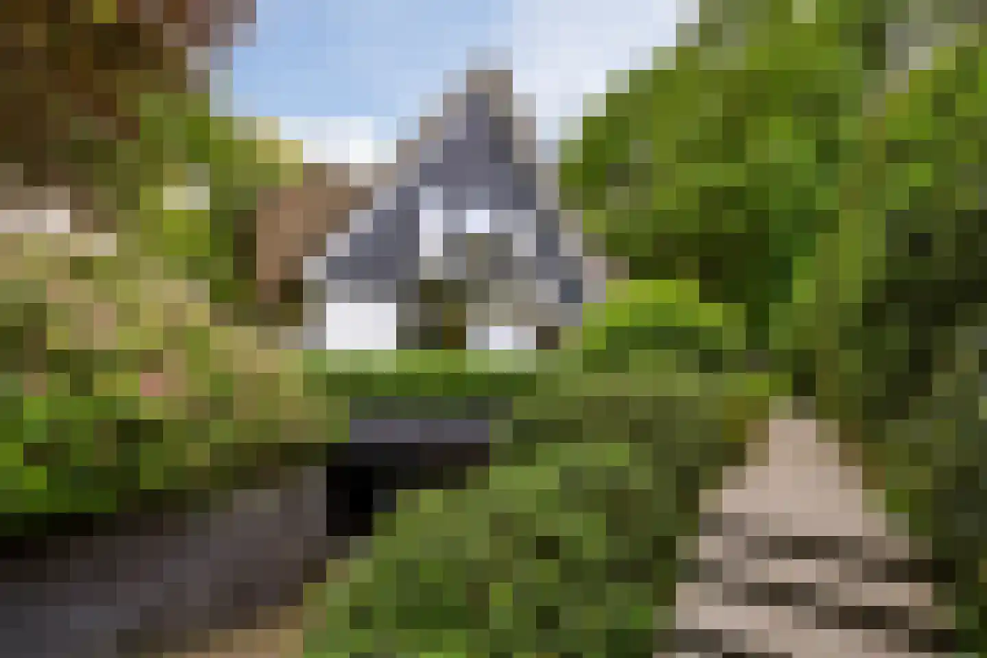 Raboes 14 Laren thumbnail 53