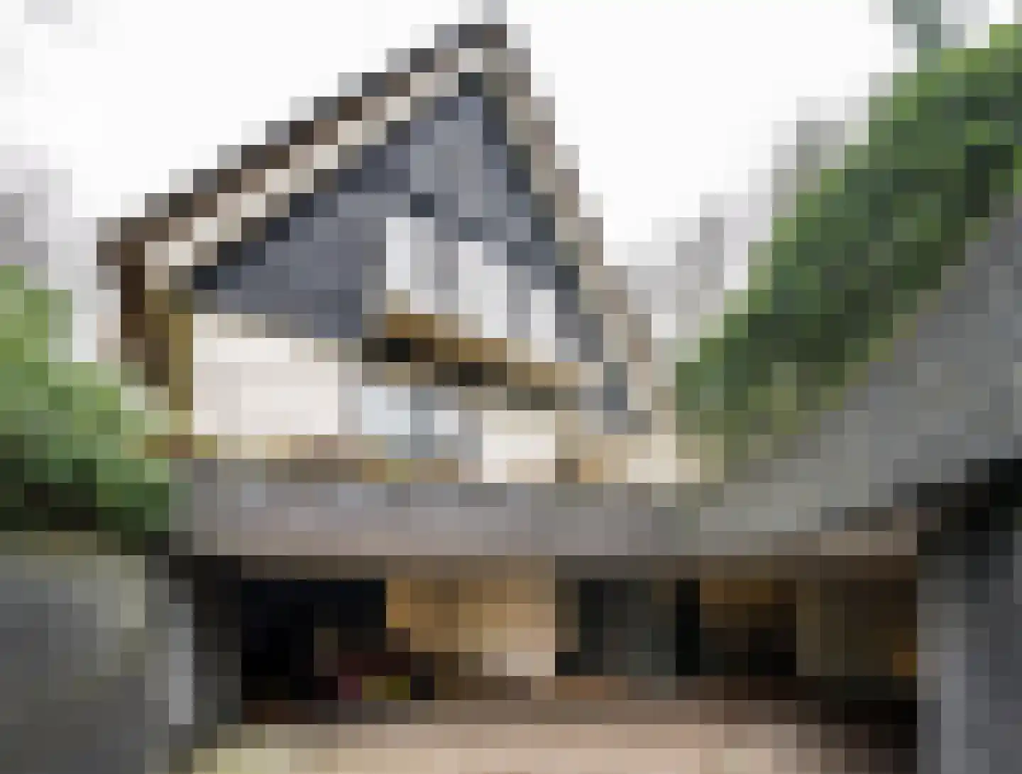 Raboes 14 Laren thumbnail 54