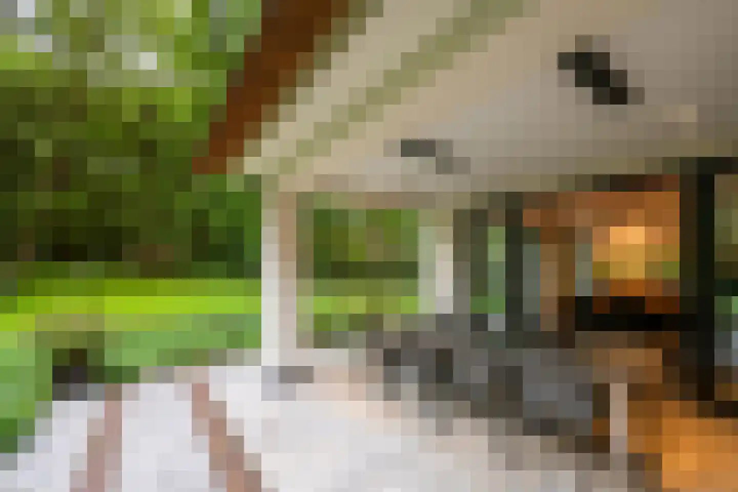 Raboes 14 Laren thumbnail 57