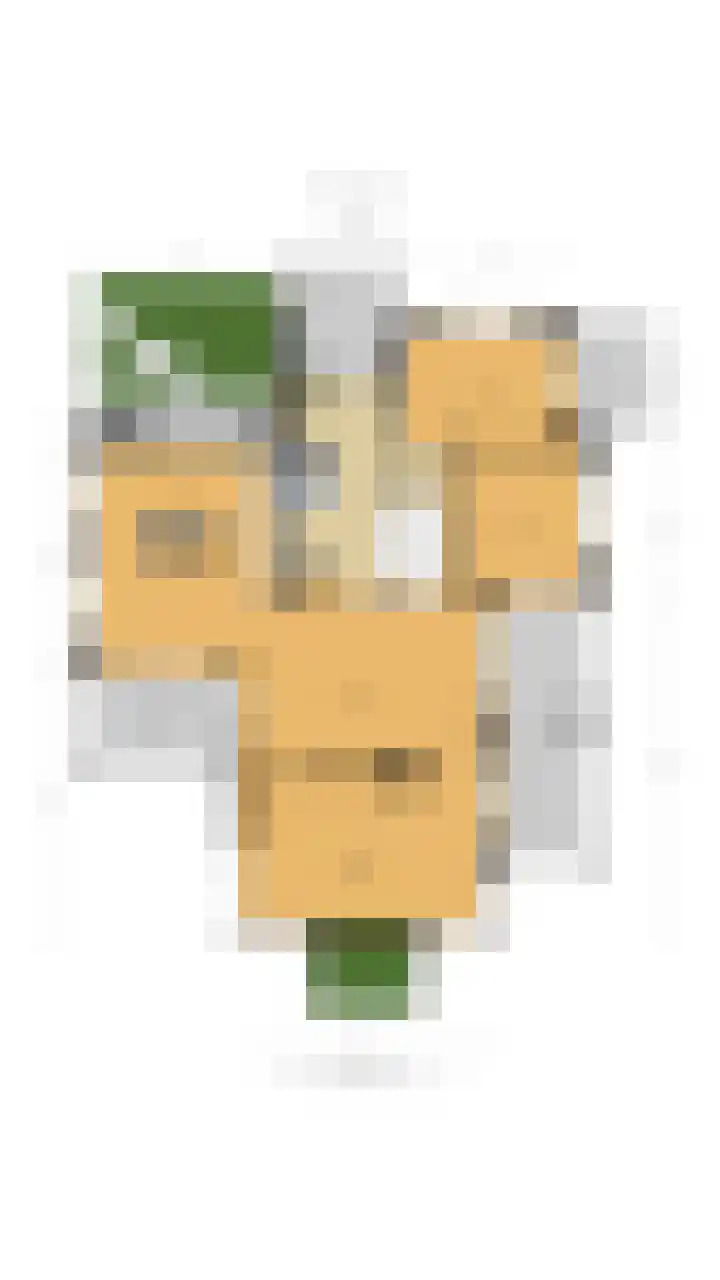 Raboes 14 Laren thumbnail 7
