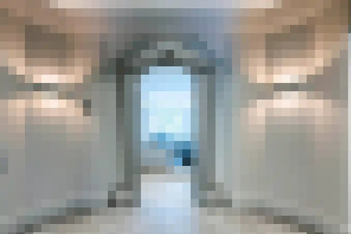 Raboes 21 Laren thumbnail 10