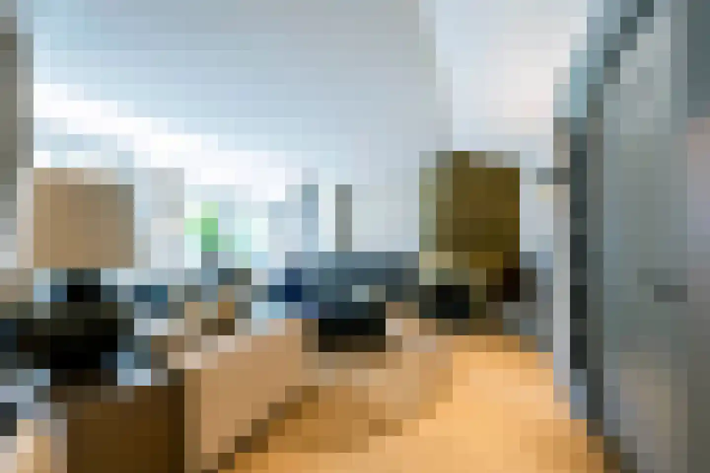 Raboes 21 Laren thumbnail 12
