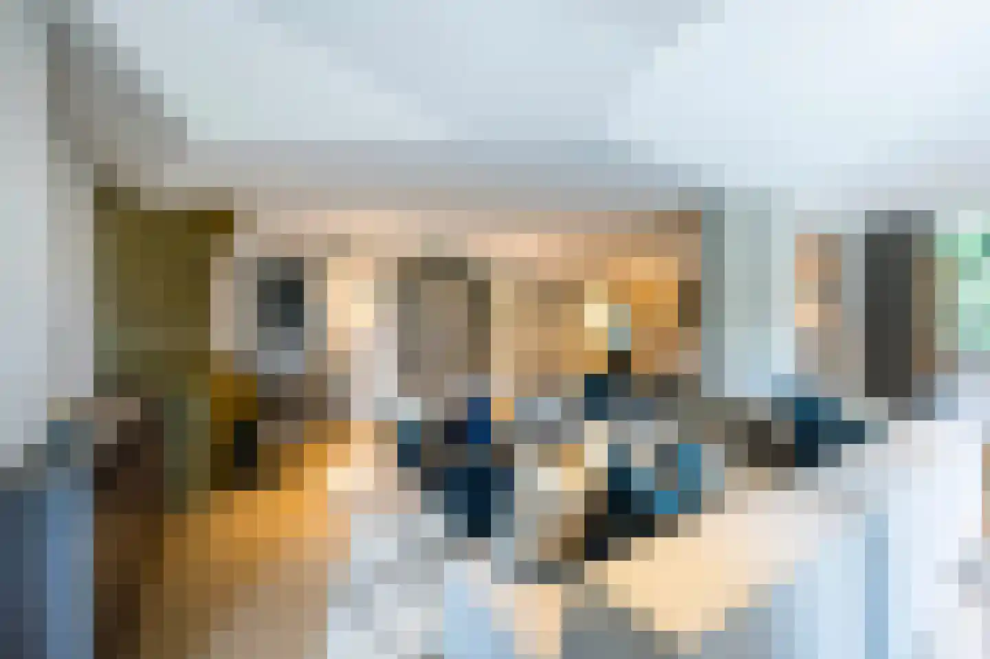 Raboes 21 Laren thumbnail 15