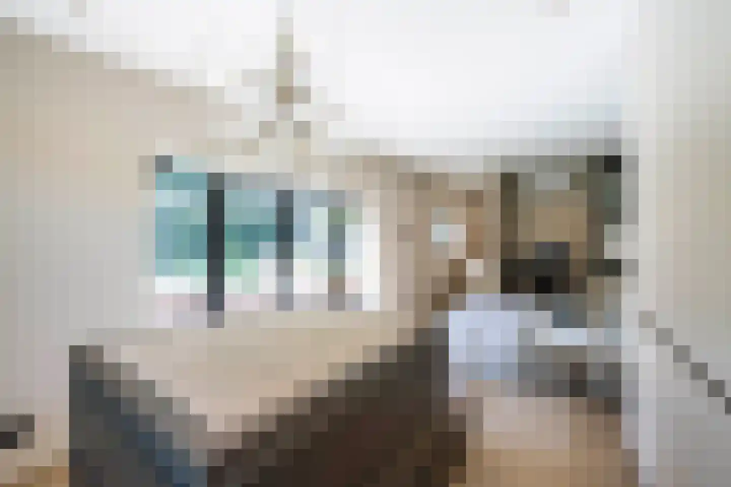 Raboes 21 Laren thumbnail 24