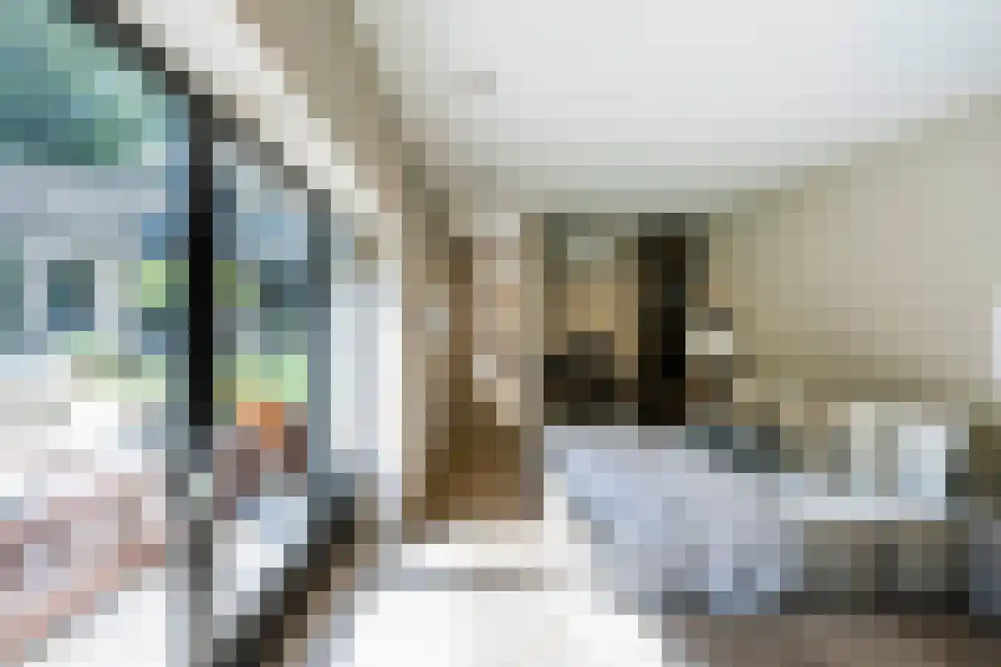 Raboes 21 Laren thumbnail 25
