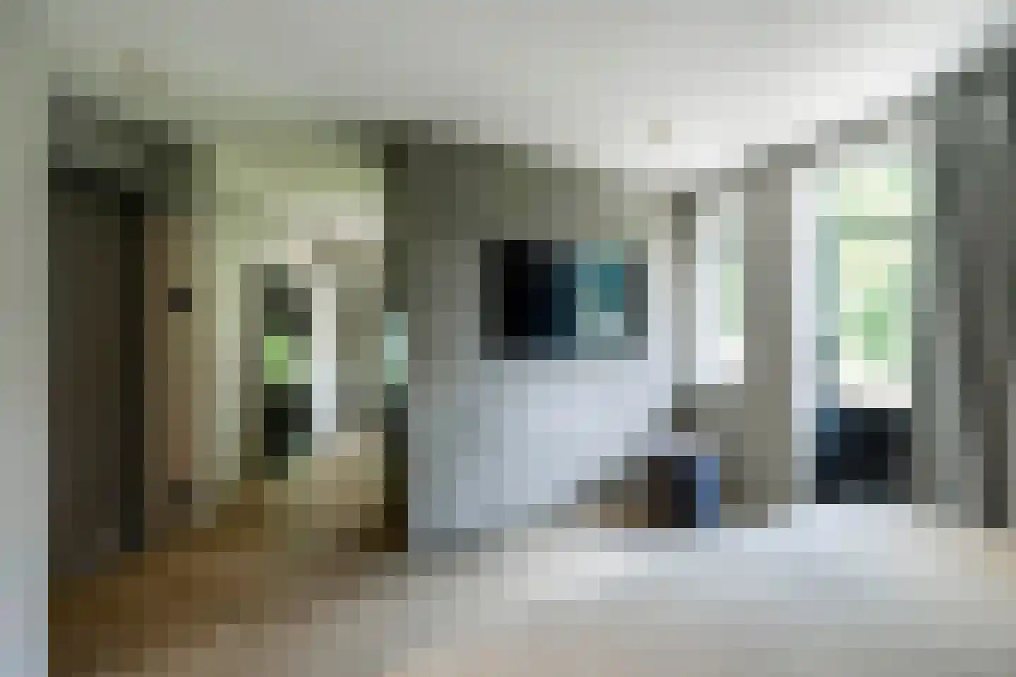 Raboes 21 Laren thumbnail 30