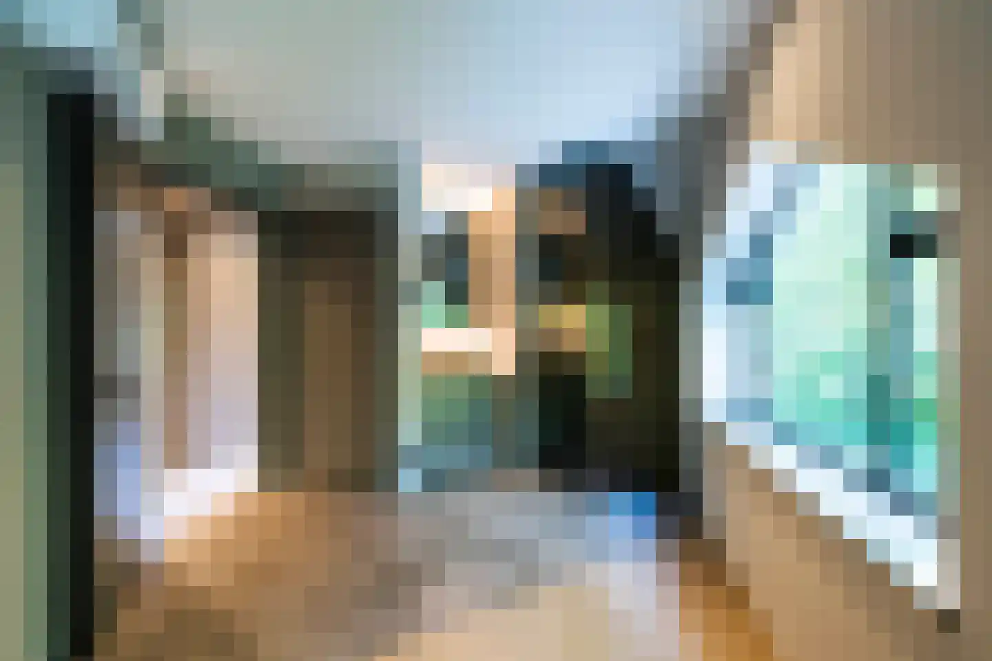 Raboes 21 Laren thumbnail 35