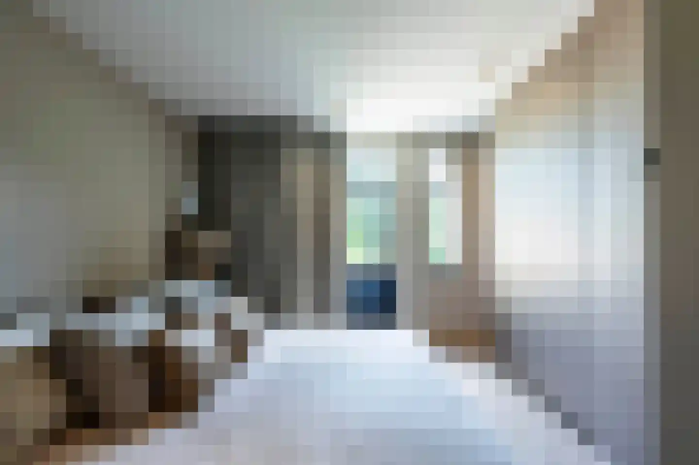 Raboes 21 Laren thumbnail 39