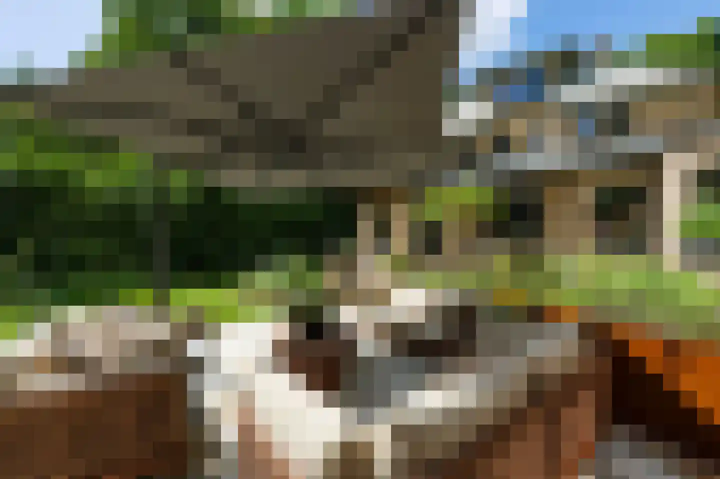 Raboes 21 Laren thumbnail 4