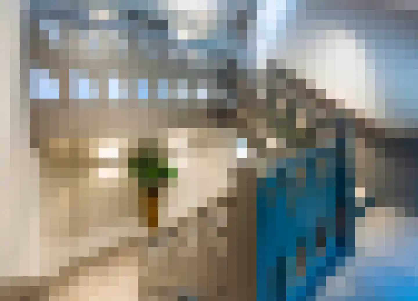 Raboes 21 Laren thumbnail 42