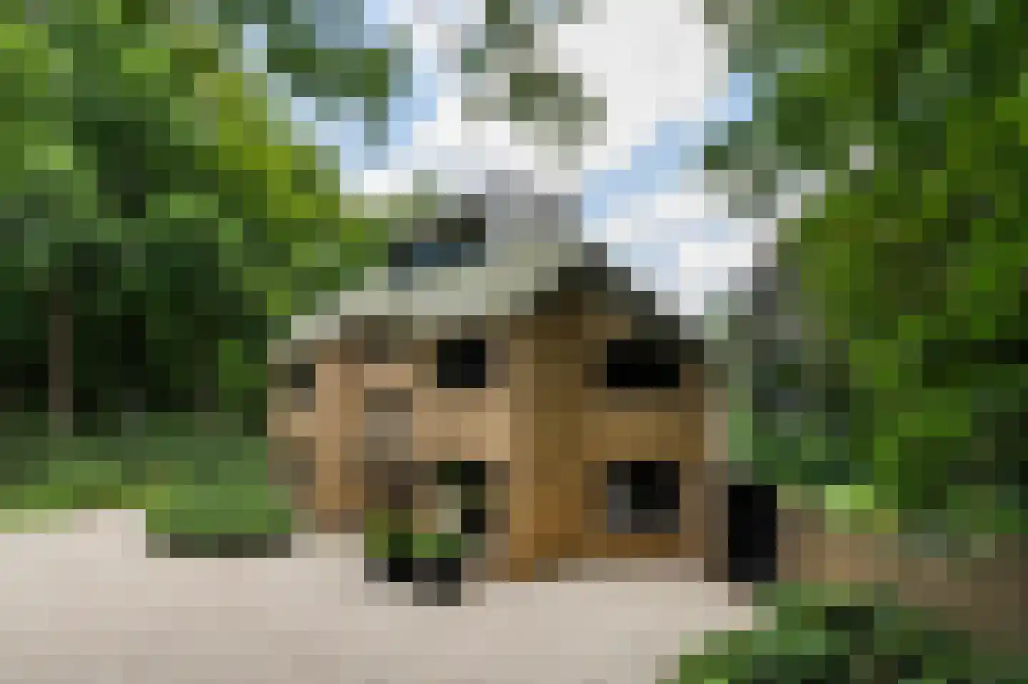 Raboes 21 Laren thumbnail 47