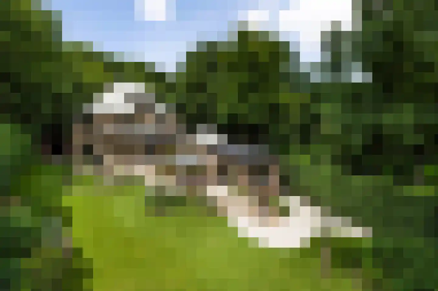 Raboes 21 Laren thumbnail 48