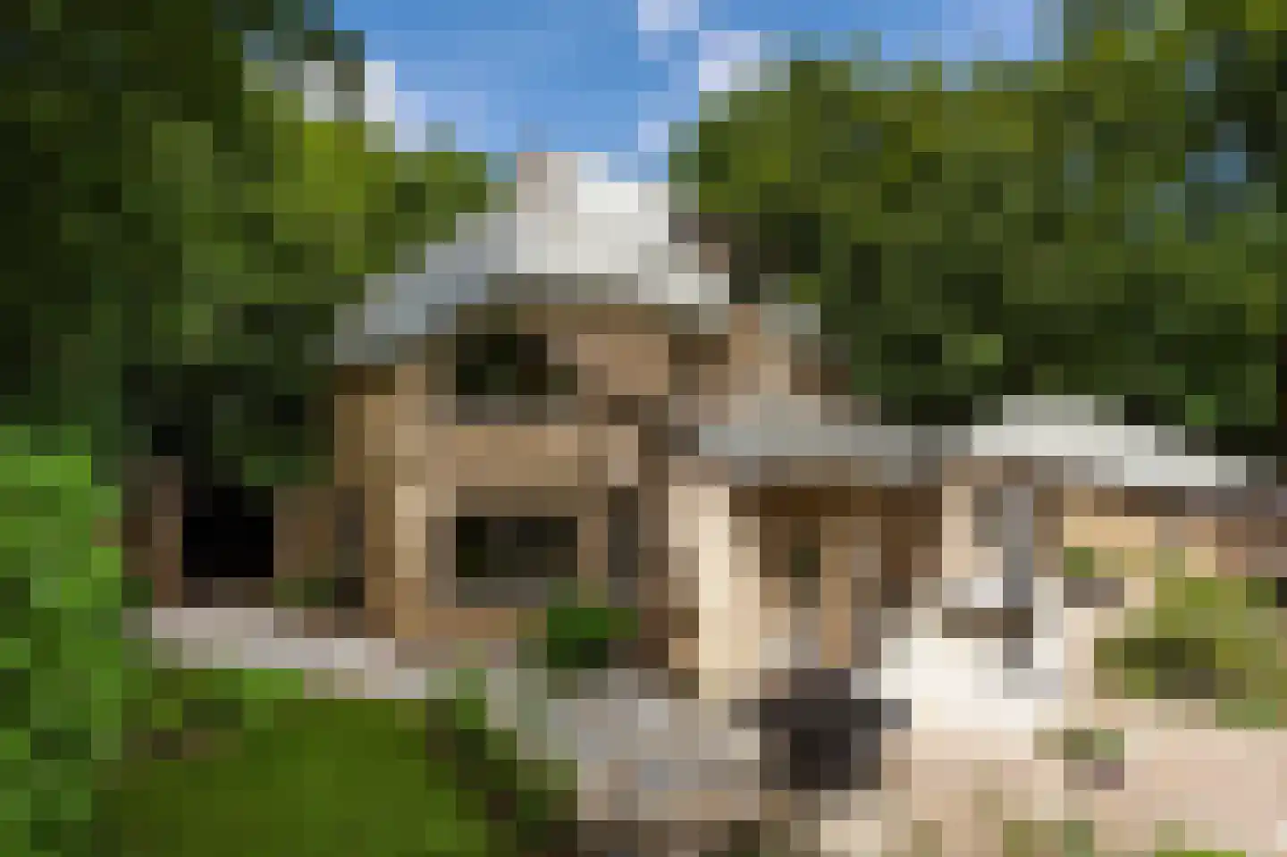 Raboes 21 Laren thumbnail 49