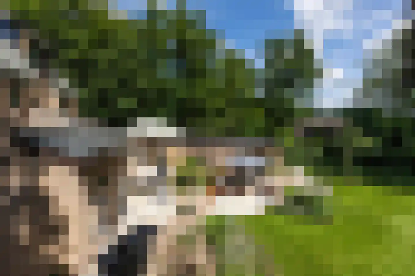 Raboes 21 Laren thumbnail 50