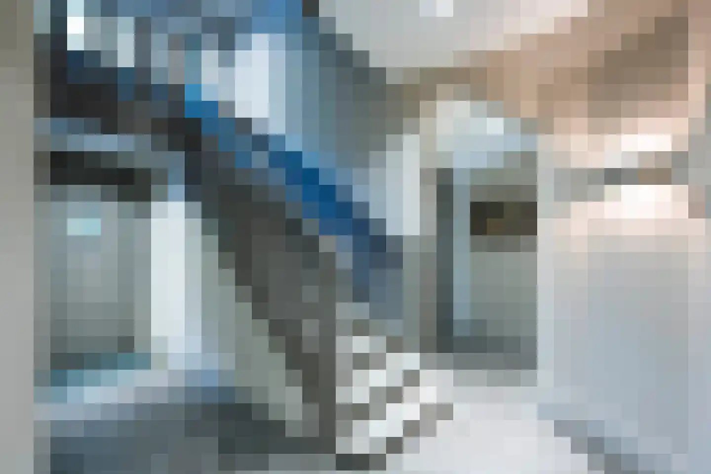 Raboes 21 Laren thumbnail 7