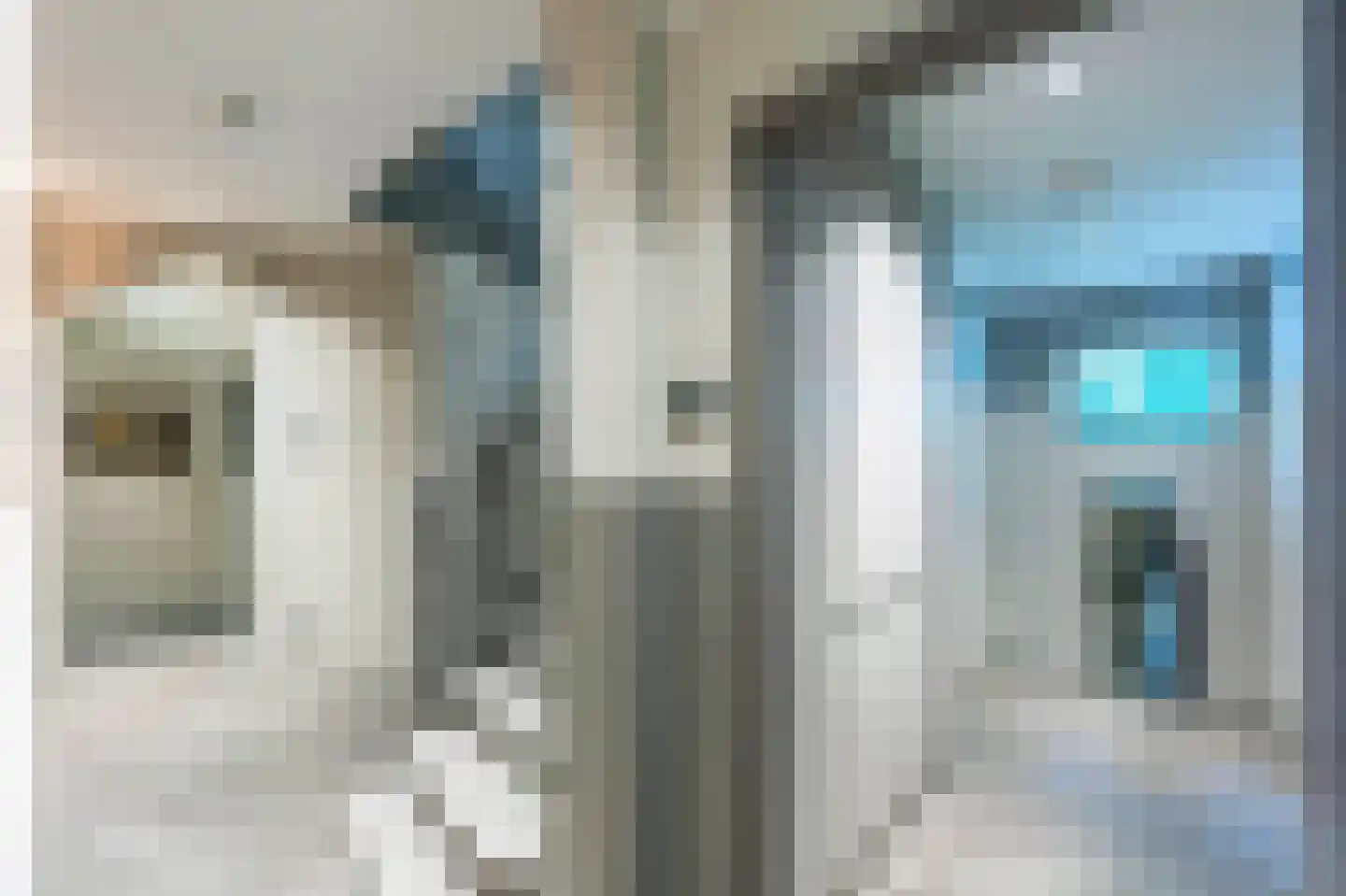 Raboes 21 Laren thumbnail 8