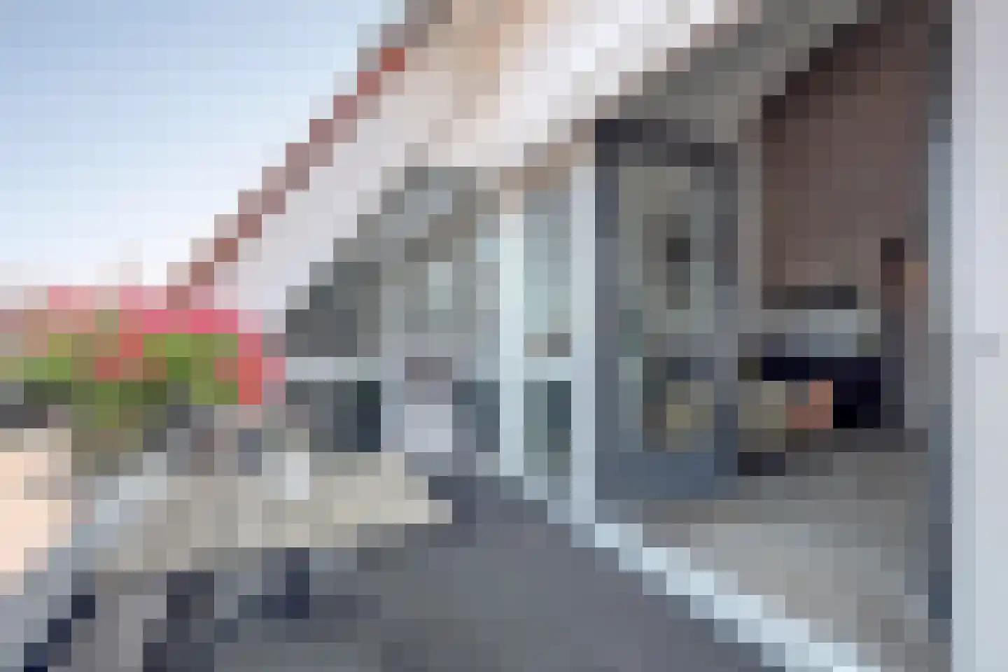 Raccordement 124 Twello thumbnail 12