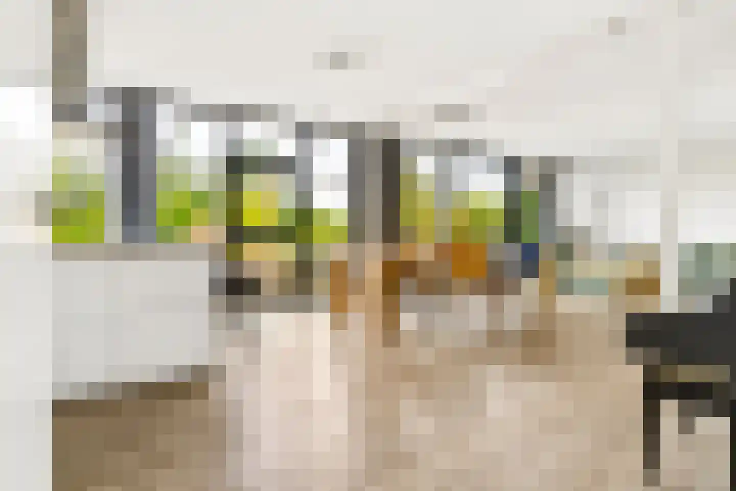 Rachel Carsonhof 29 Almere thumbnail 11