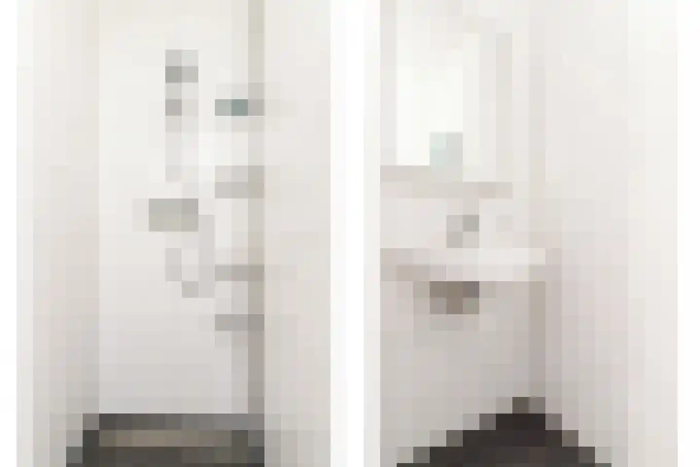 Rachel Carsonhof 29 Almere thumbnail 43