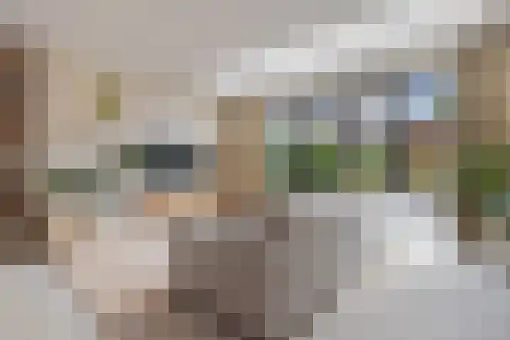 Rachel Ruyschstraat 23 Eindhoven thumbnail 14