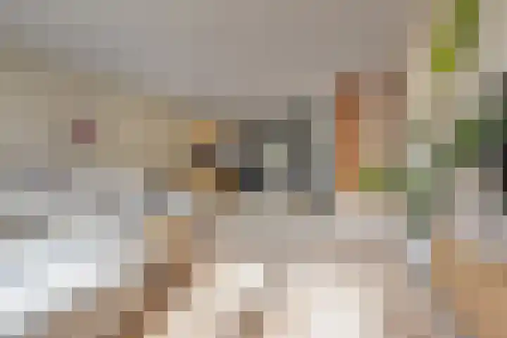 Rachel Ruyschstraat 23 Eindhoven thumbnail 16