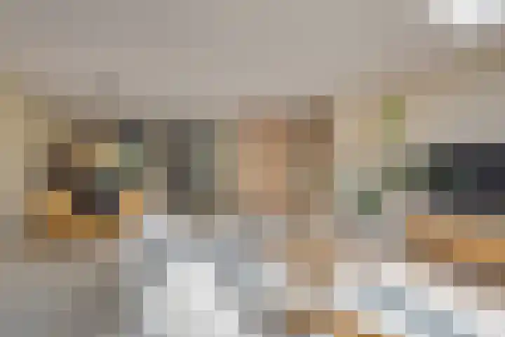 Rachel Ruyschstraat 23 Eindhoven thumbnail 17