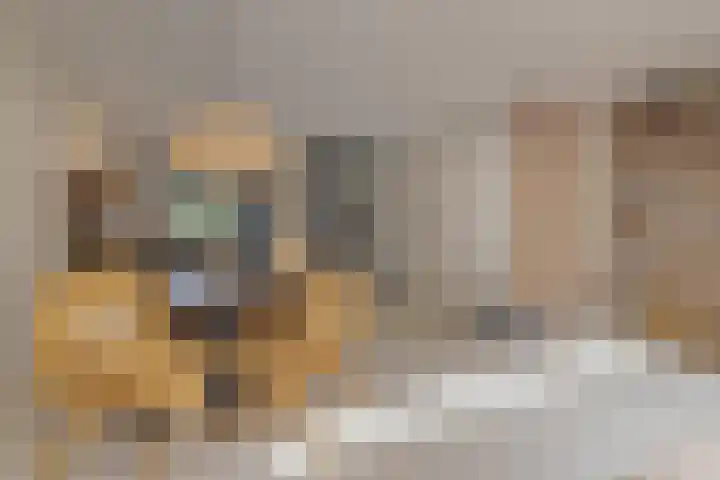 Rachel Ruyschstraat 23 Eindhoven thumbnail 18