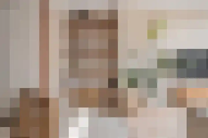 Rachel Ruyschstraat 23 Eindhoven thumbnail 20
