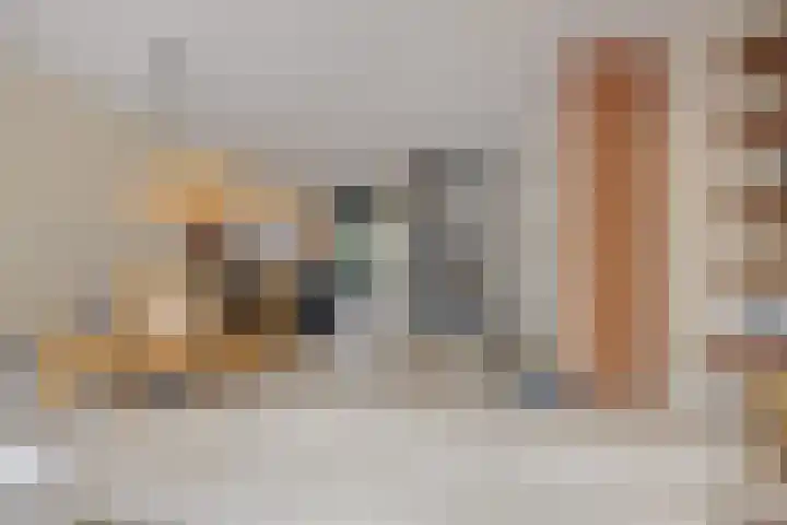 Rachel Ruyschstraat 23 Eindhoven thumbnail 21