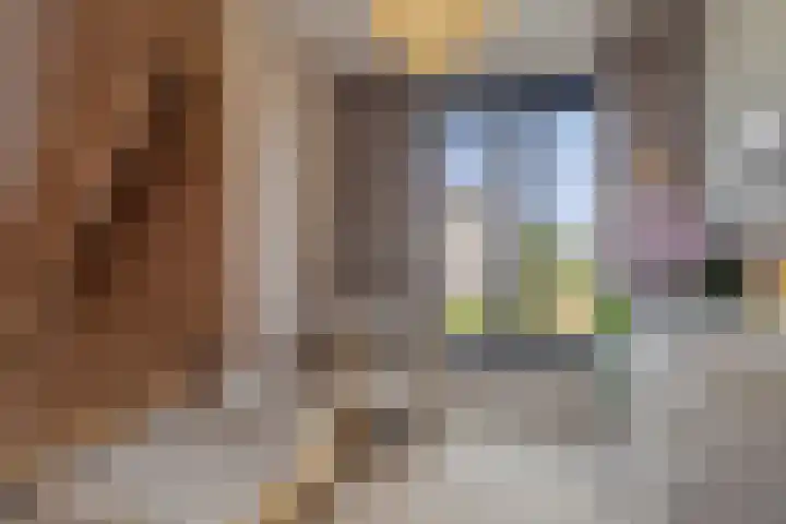 Rachel Ruyschstraat 23 Eindhoven thumbnail 34