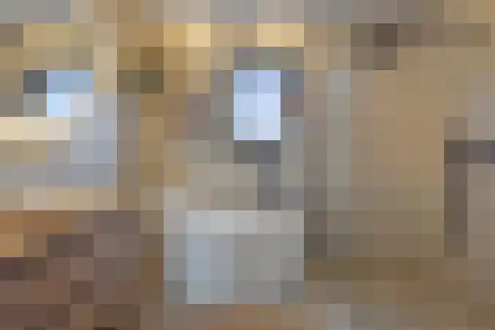 Rachel Ruyschstraat 23 Eindhoven thumbnail 37