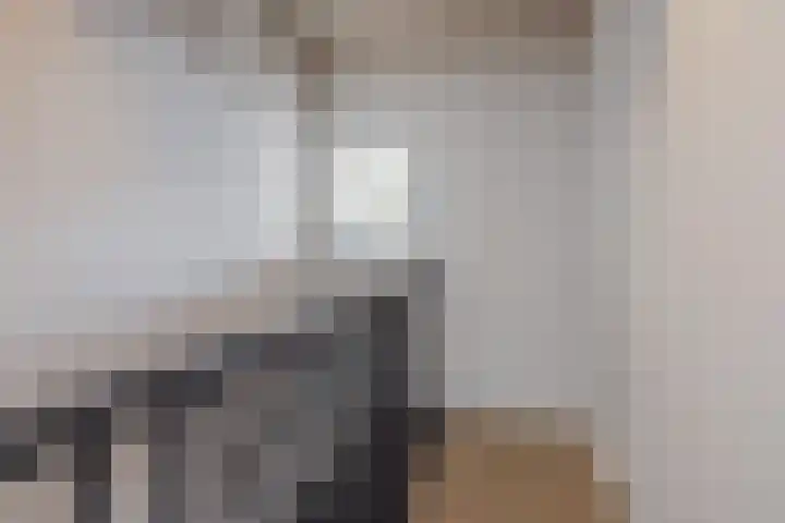 Rachel Ruyschstraat 23 Eindhoven thumbnail 41