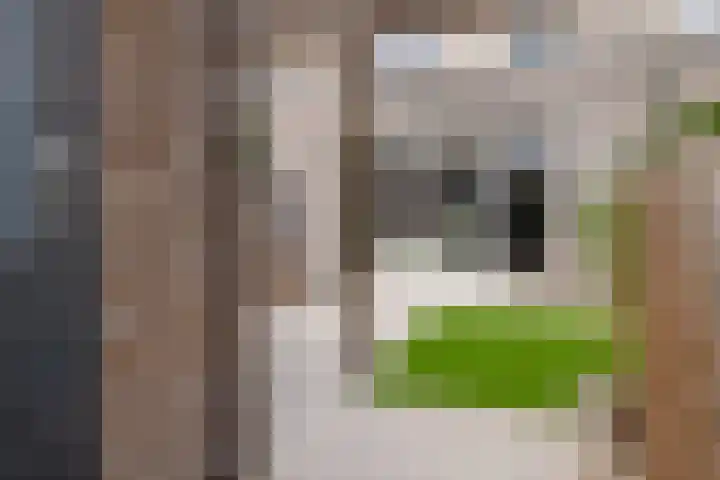 Rachel Ruyschstraat 23 Eindhoven thumbnail 49