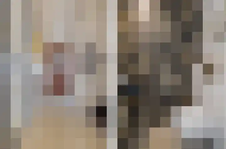 Rachel Ruyschstraat 23 Eindhoven thumbnail 8