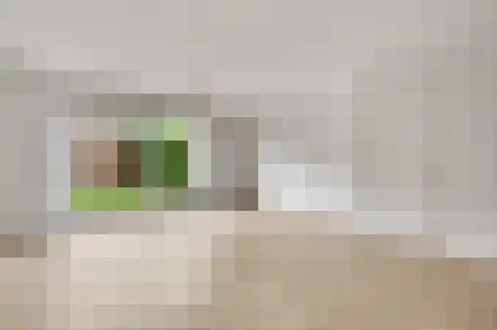 Rachel Ruyschstraat 4 Eindhoven thumbnail 11