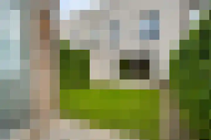 Rachel Ruyschstraat 4 Eindhoven thumbnail 18