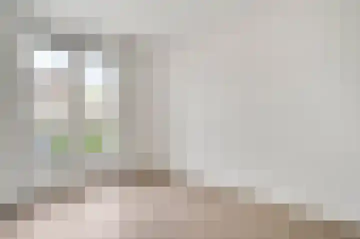 Rachel Ruyschstraat 4 Eindhoven thumbnail 25