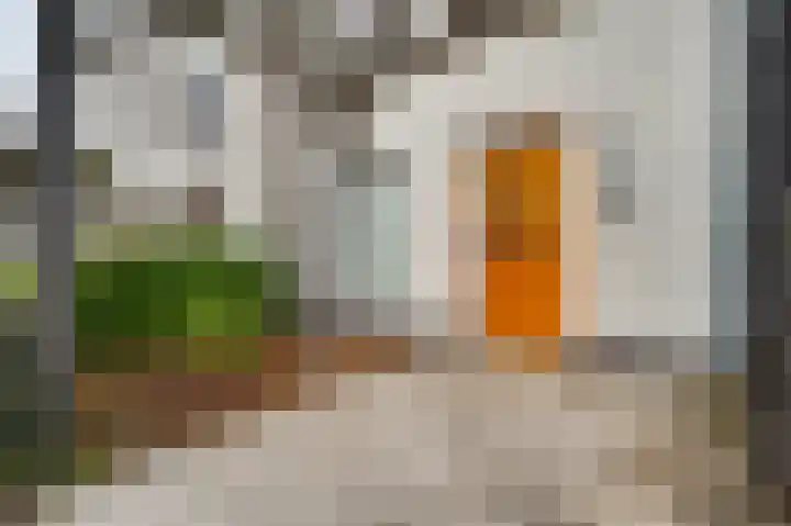 Rachel Ruyschstraat 4 Eindhoven thumbnail 8