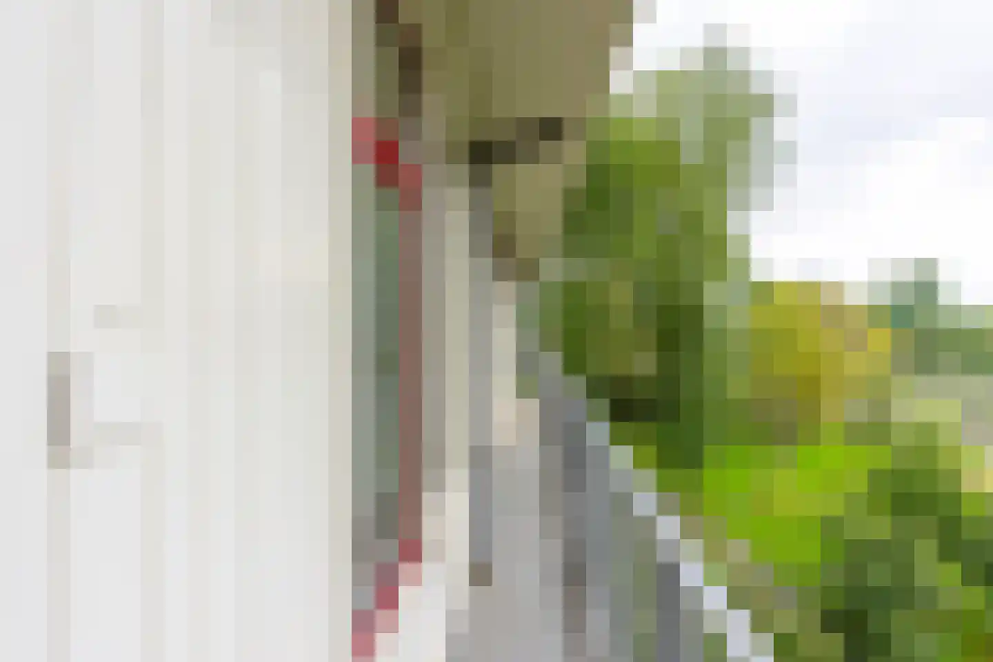 Rachmaninoffplantsoen 17 Utrecht thumbnail 12