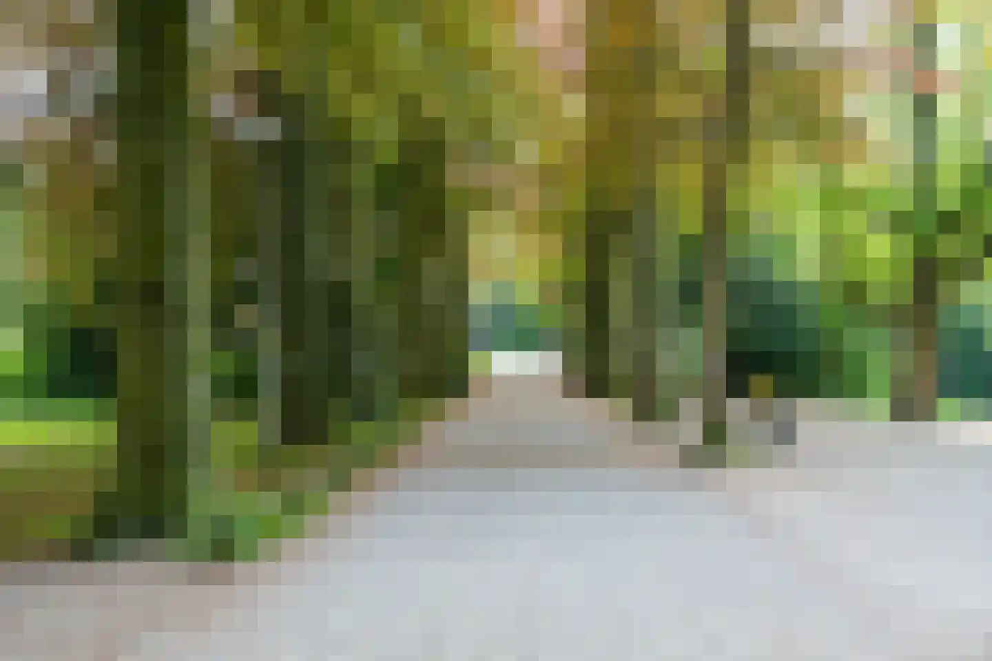 Rachmaninoffplantsoen 17 Utrecht thumbnail 28