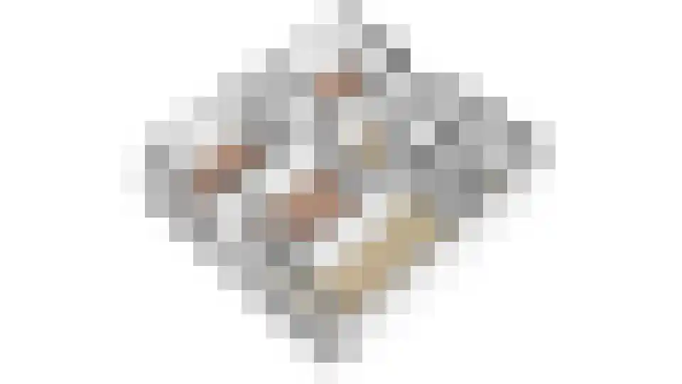 Rachmaninoffplantsoen 17 Utrecht thumbnail 32