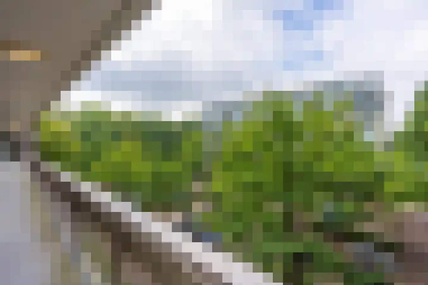 Rachmaninoffplantsoen 17 Utrecht thumbnail 5