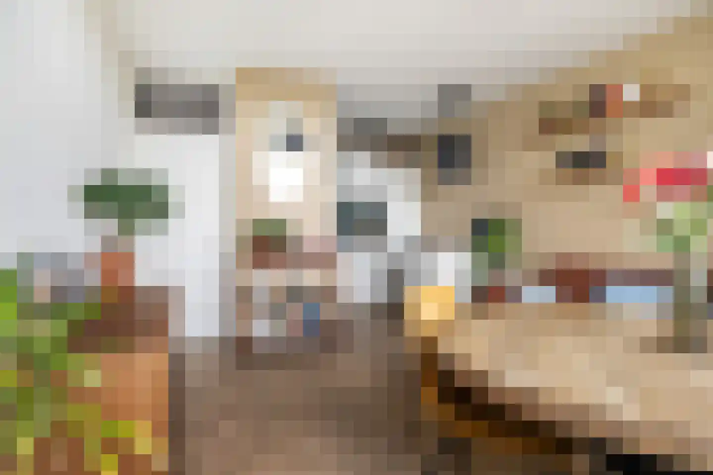 Rachmaninoffplantsoen 18 Utrecht thumbnail 11