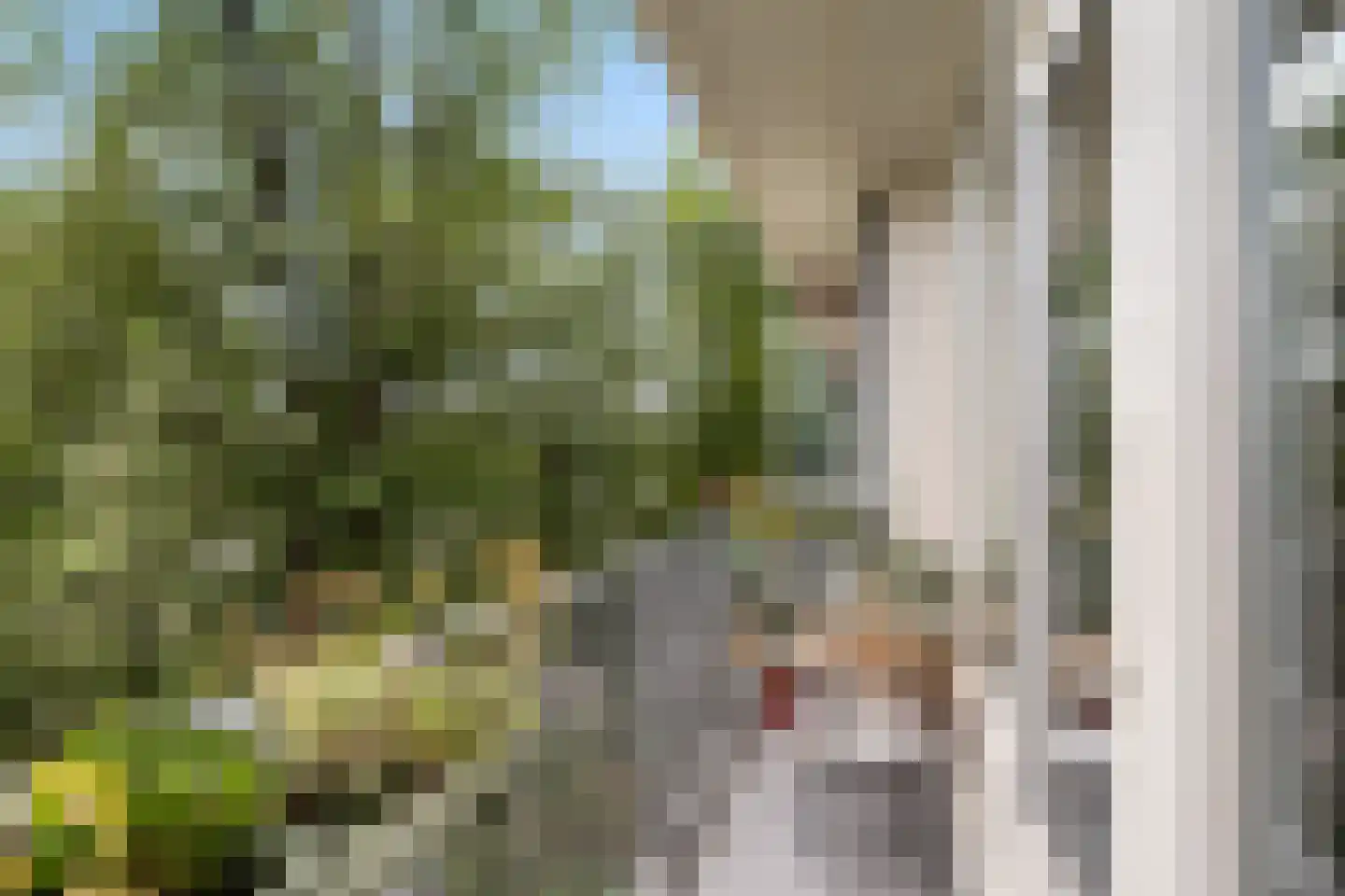 Rachmaninoffplantsoen 18 Utrecht thumbnail 19