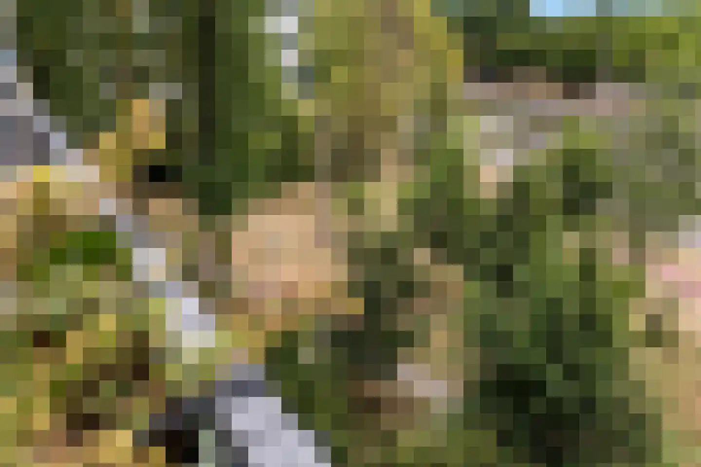 Rachmaninoffplantsoen 18 Utrecht thumbnail 20