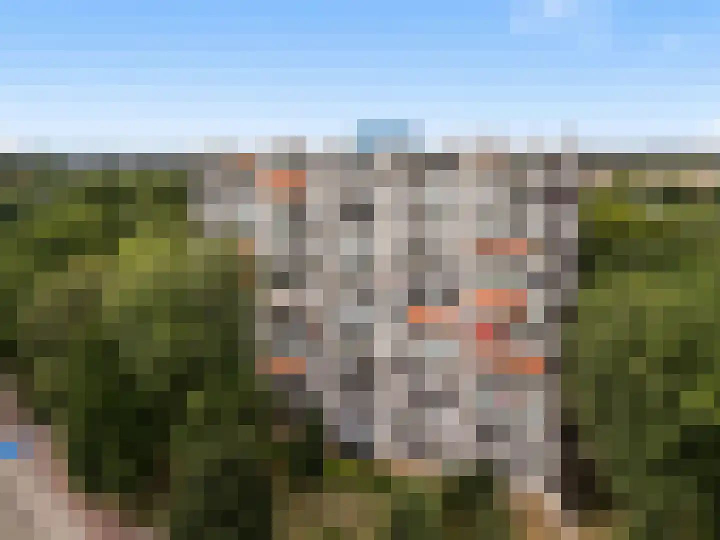 Rachmaninoffplantsoen 18 Utrecht thumbnail 22