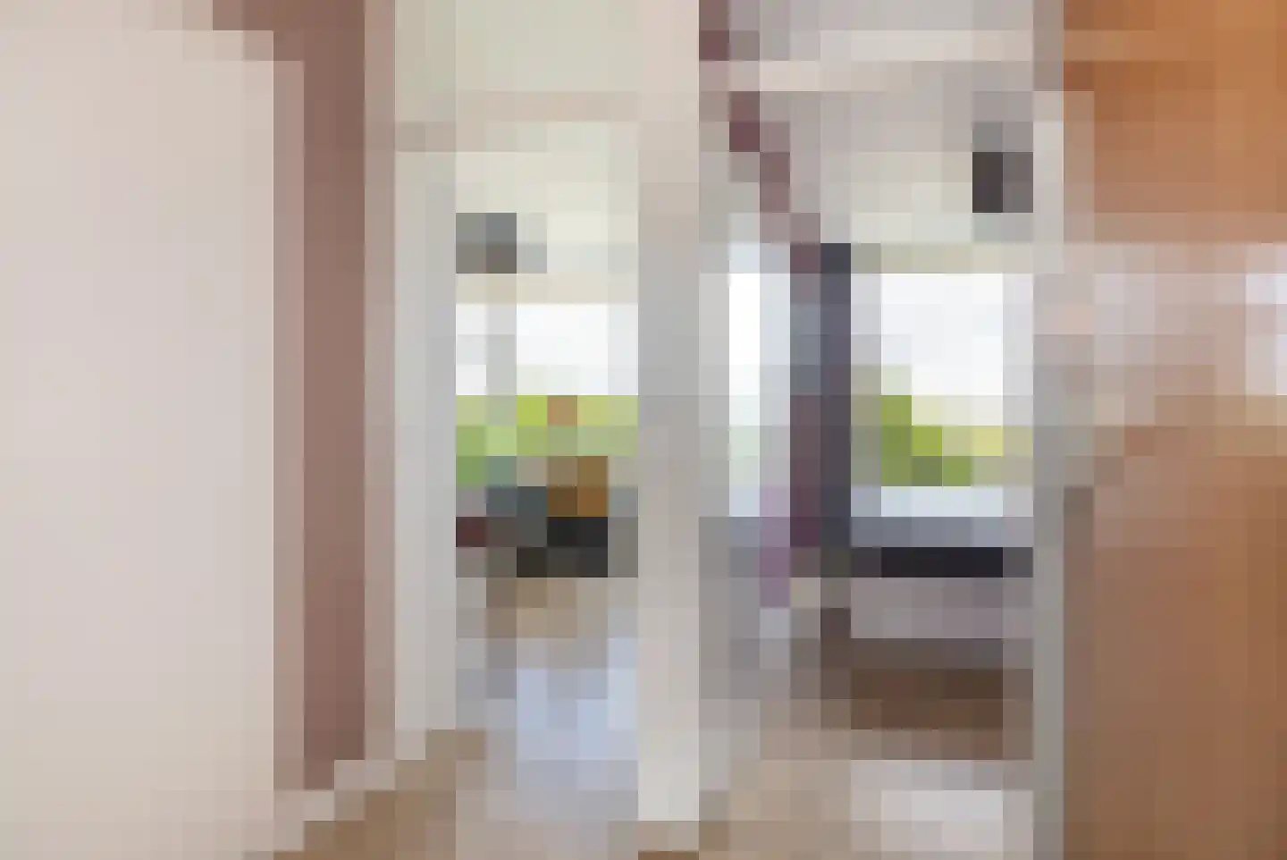 Rachmaninoffplantsoen 18 Utrecht thumbnail 8