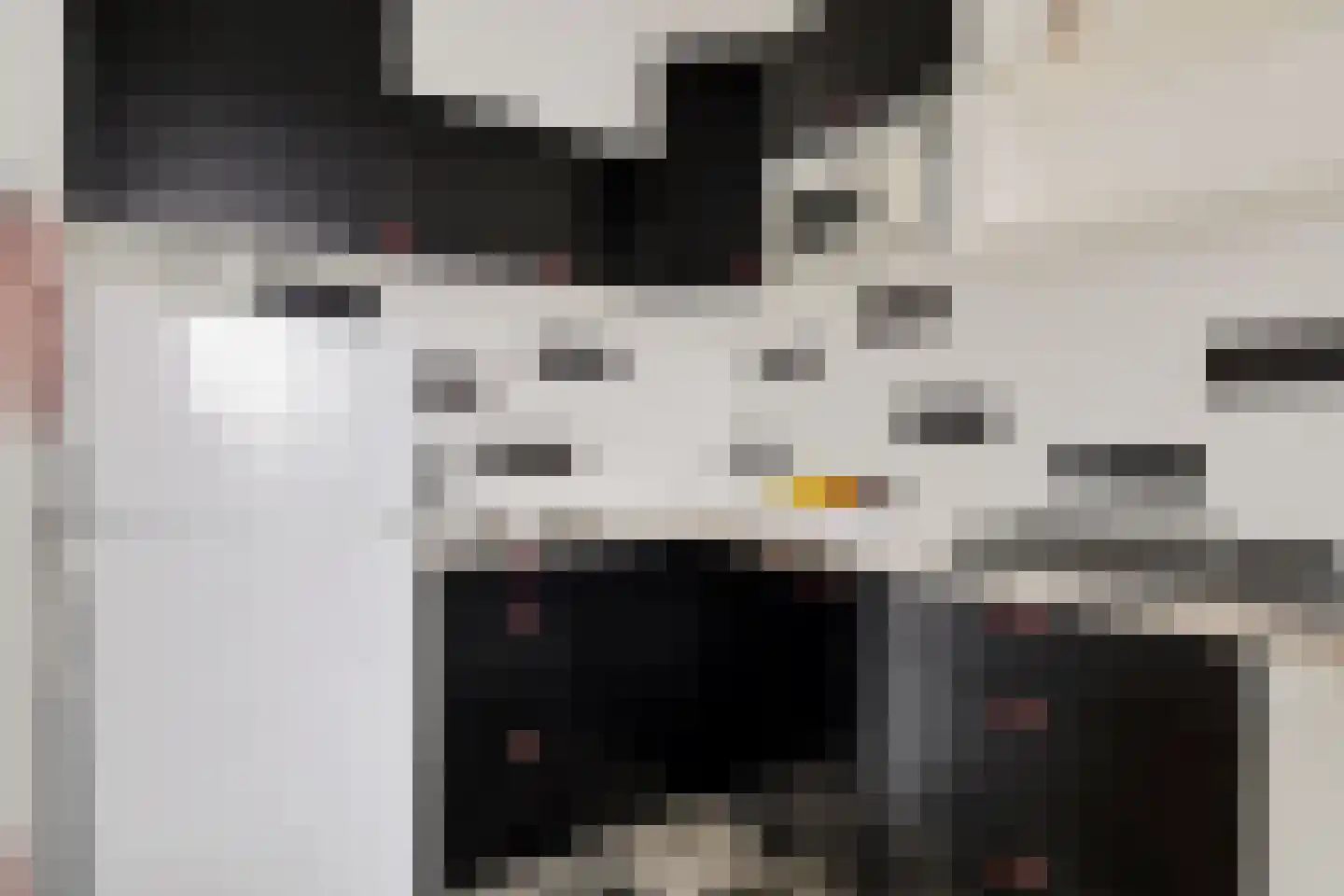 Rachmaninoffplantsoen 23 Utrecht thumbnail 13
