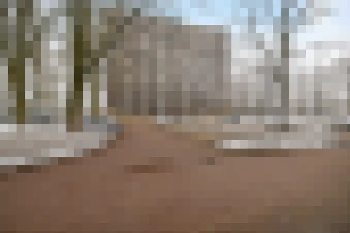 Rachmaninoffplantsoen 23 Utrecht thumbnail 24
